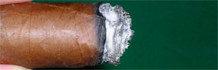 CAO Vision - 4